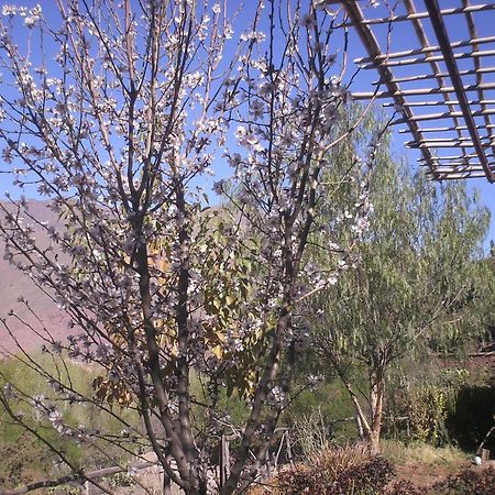 Auberge Tigmmi N'Tamazirte Ijjoukak Buitenkant foto
