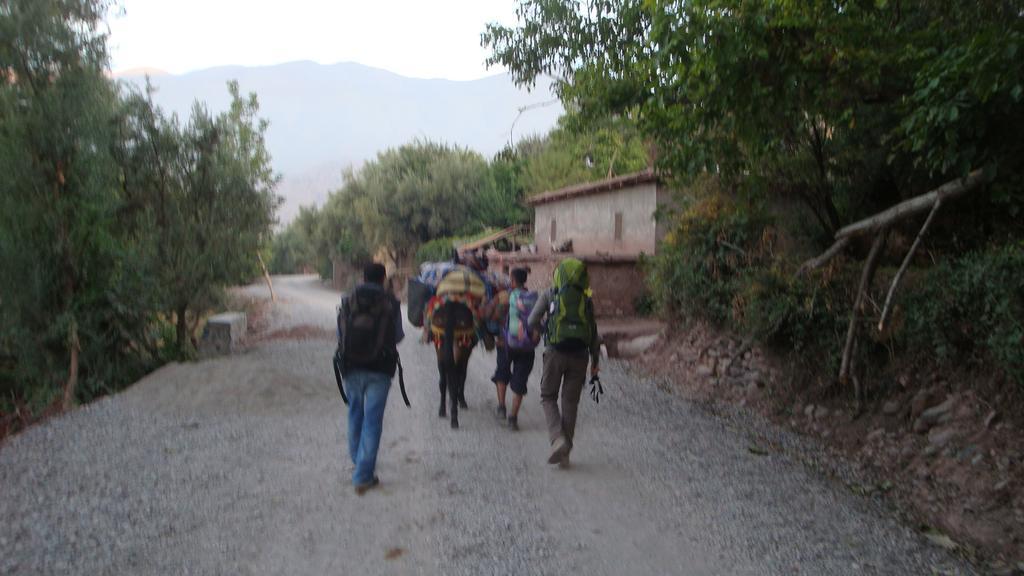 Auberge Tigmmi N'Tamazirte Ijjoukak Buitenkant foto